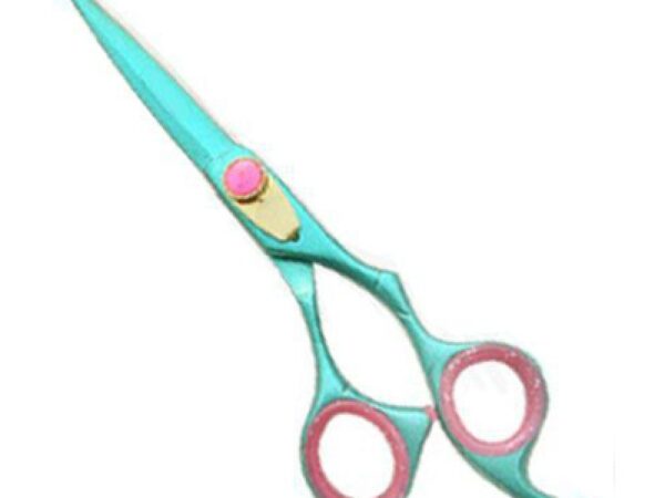 Professional Hair Cutting Scissor (2579)